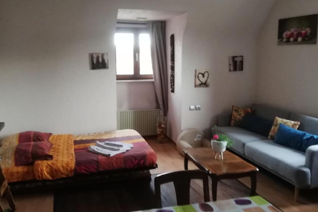 Appartement Chez Mamilou à Soufflenheim Extérieur photo